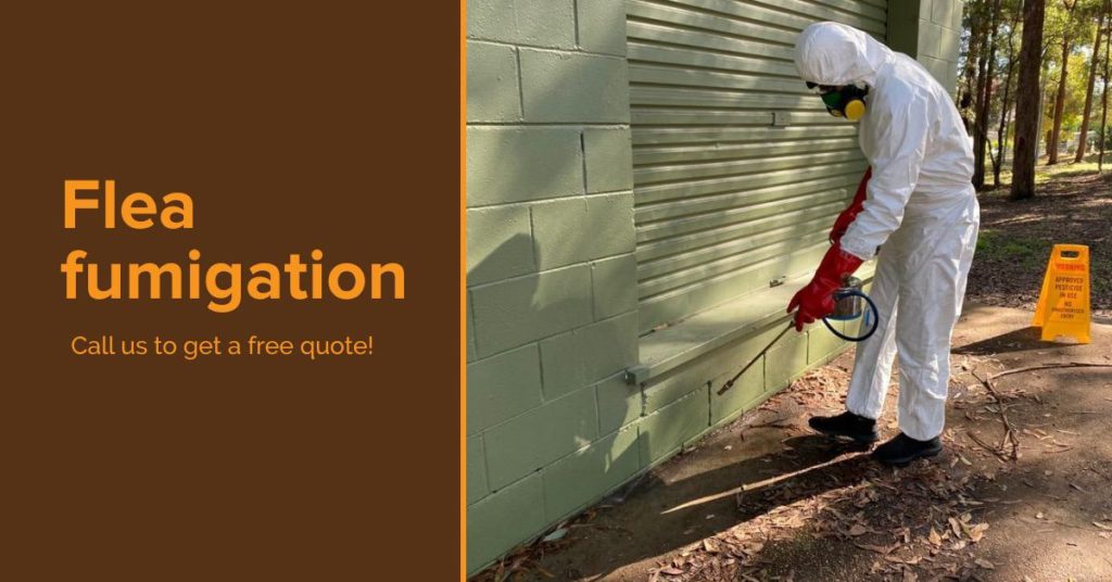 Pest Control Melbourne Same Day Pest Extraction Solutions & Services