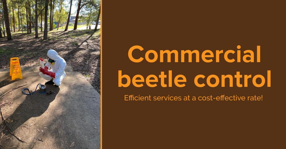 Albert Park Beetles Removal 