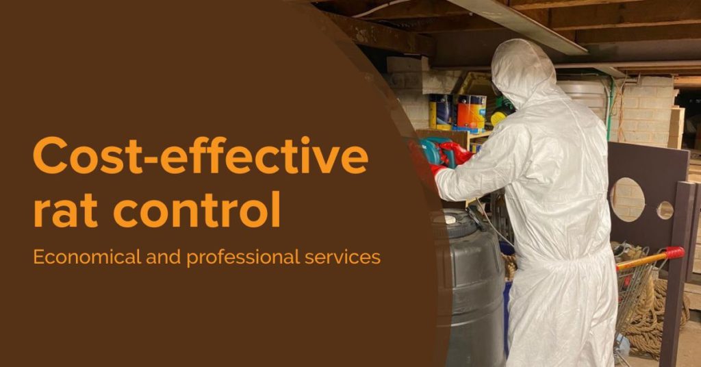 Rat Control Mandurah Alpha Pest Control