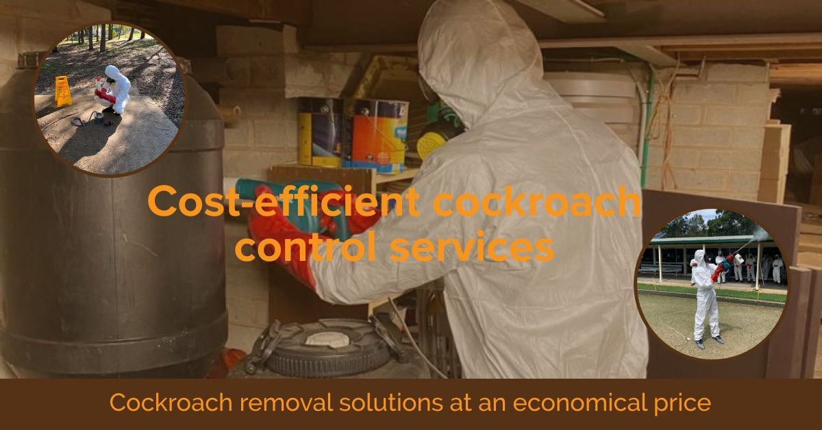Cockroaches Removals Hamilton South