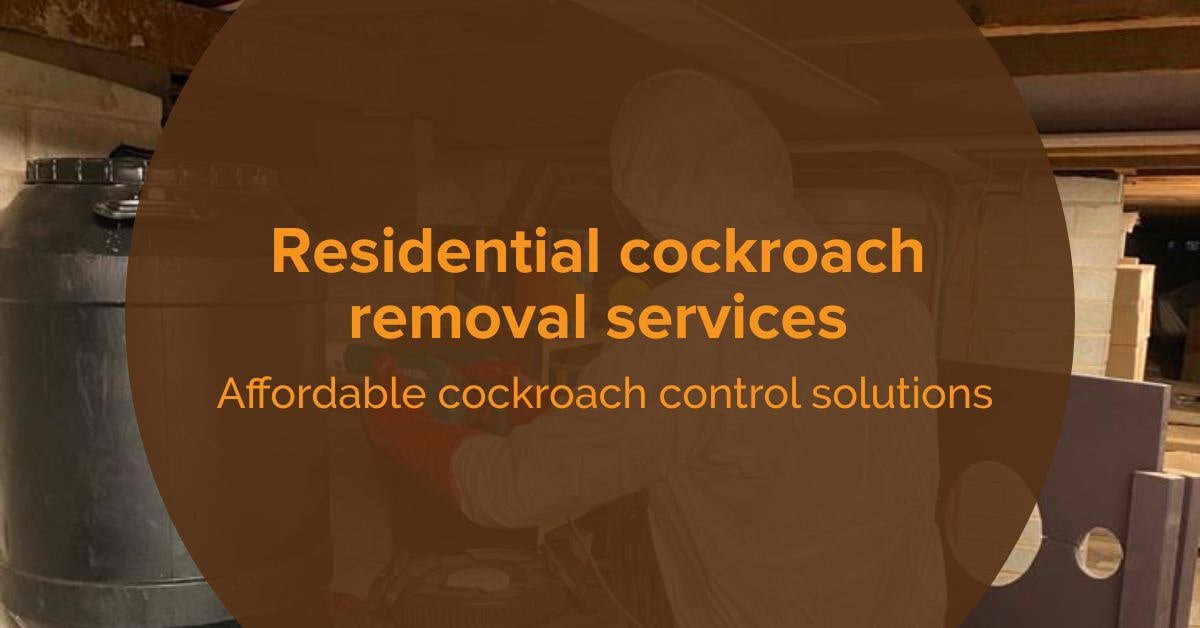Cockroaches Removal Alberton