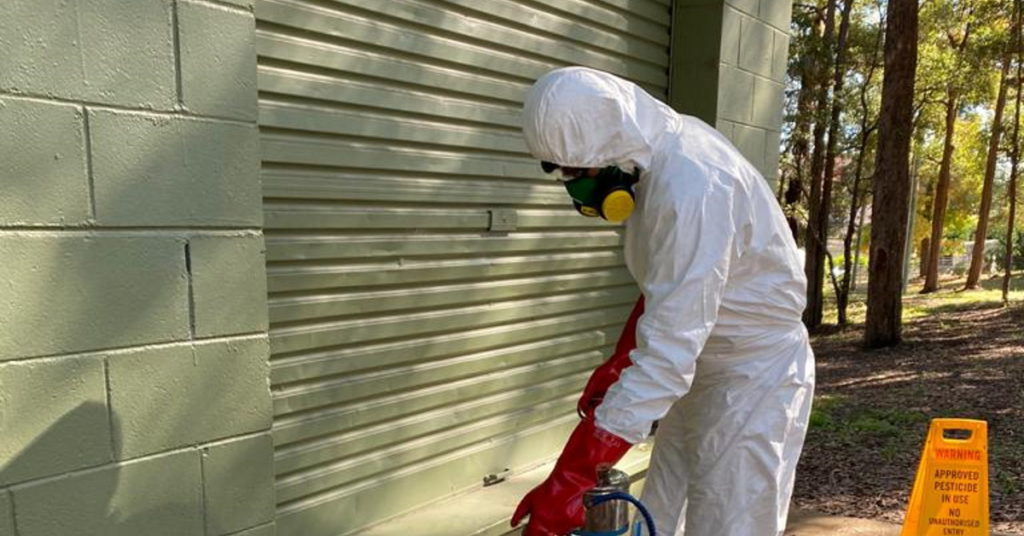 Rat Control Mandurah Alpha Pest Control