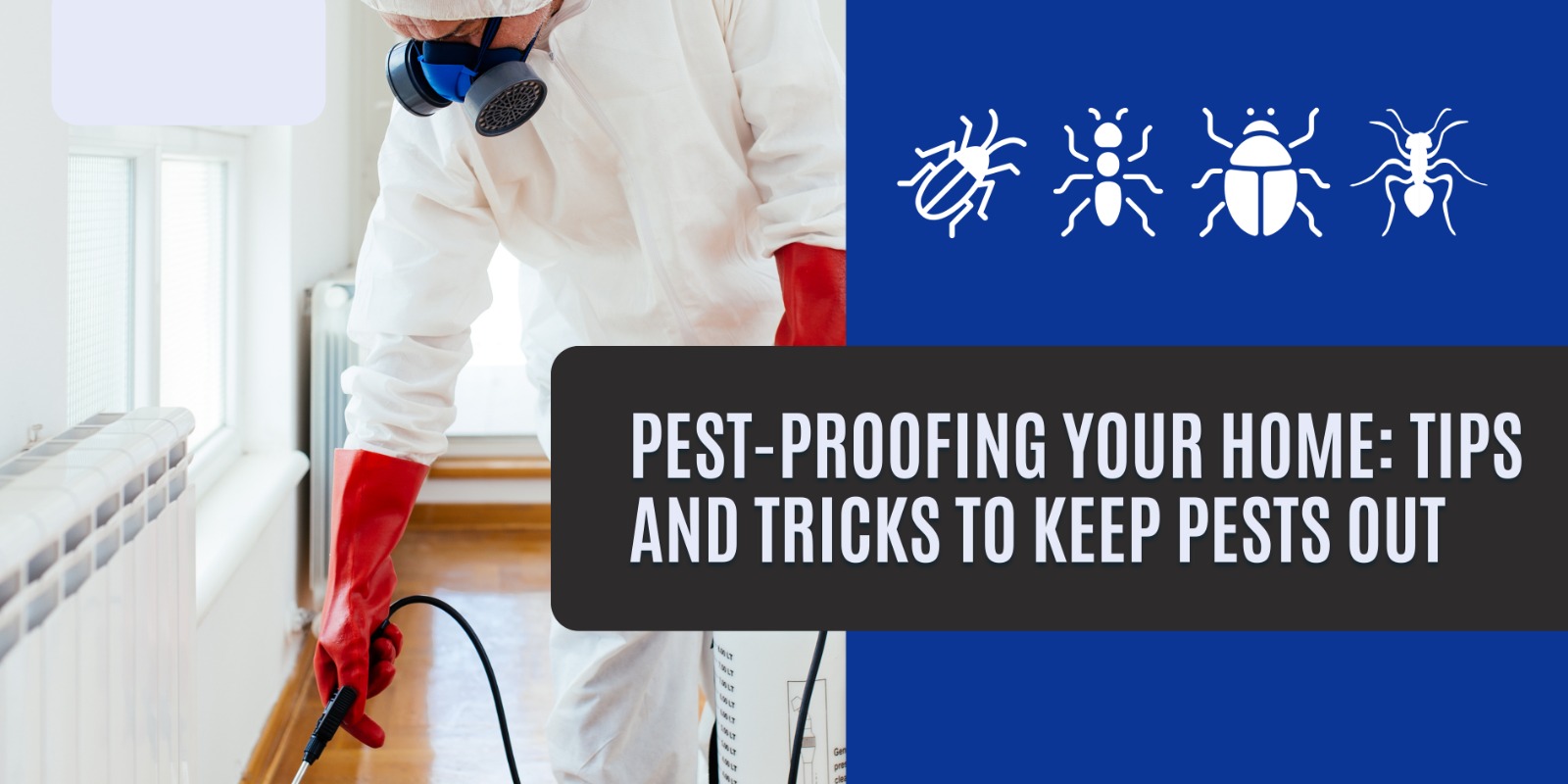Pest-Proofing Your Home: Tips And Tricks To Keep Pests Out