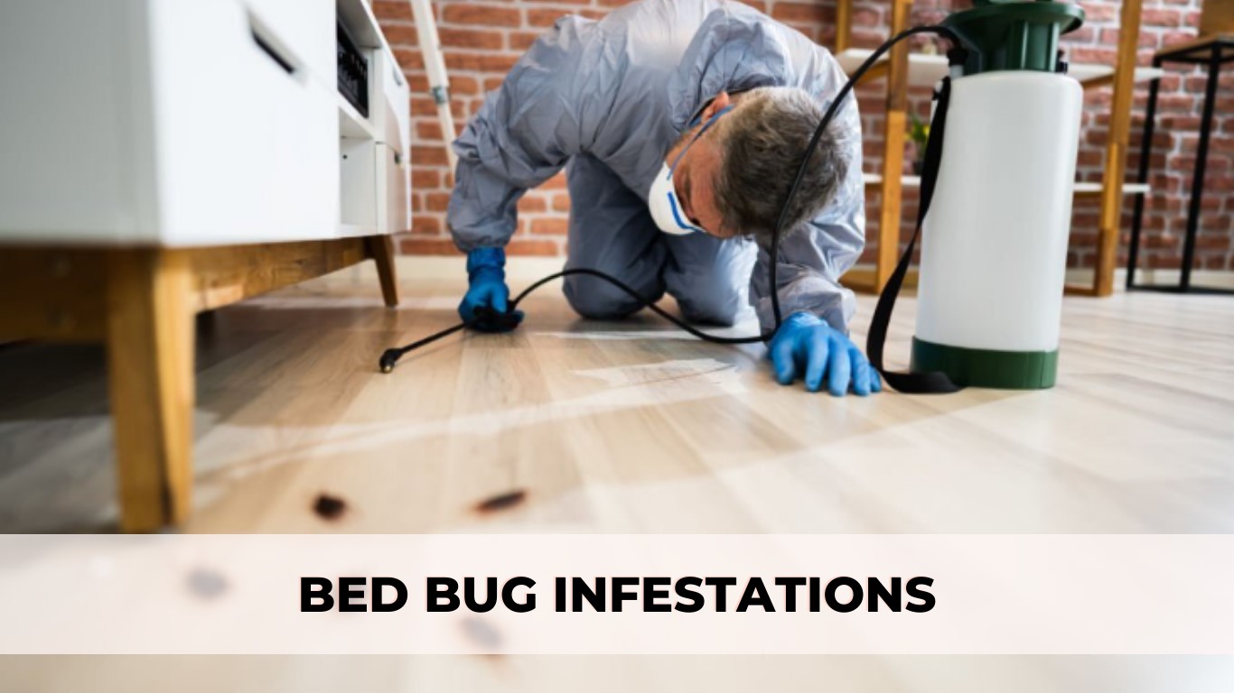 Bed Bugs infestations: There is a growing demand for effective and long-lasting bed bug treatments