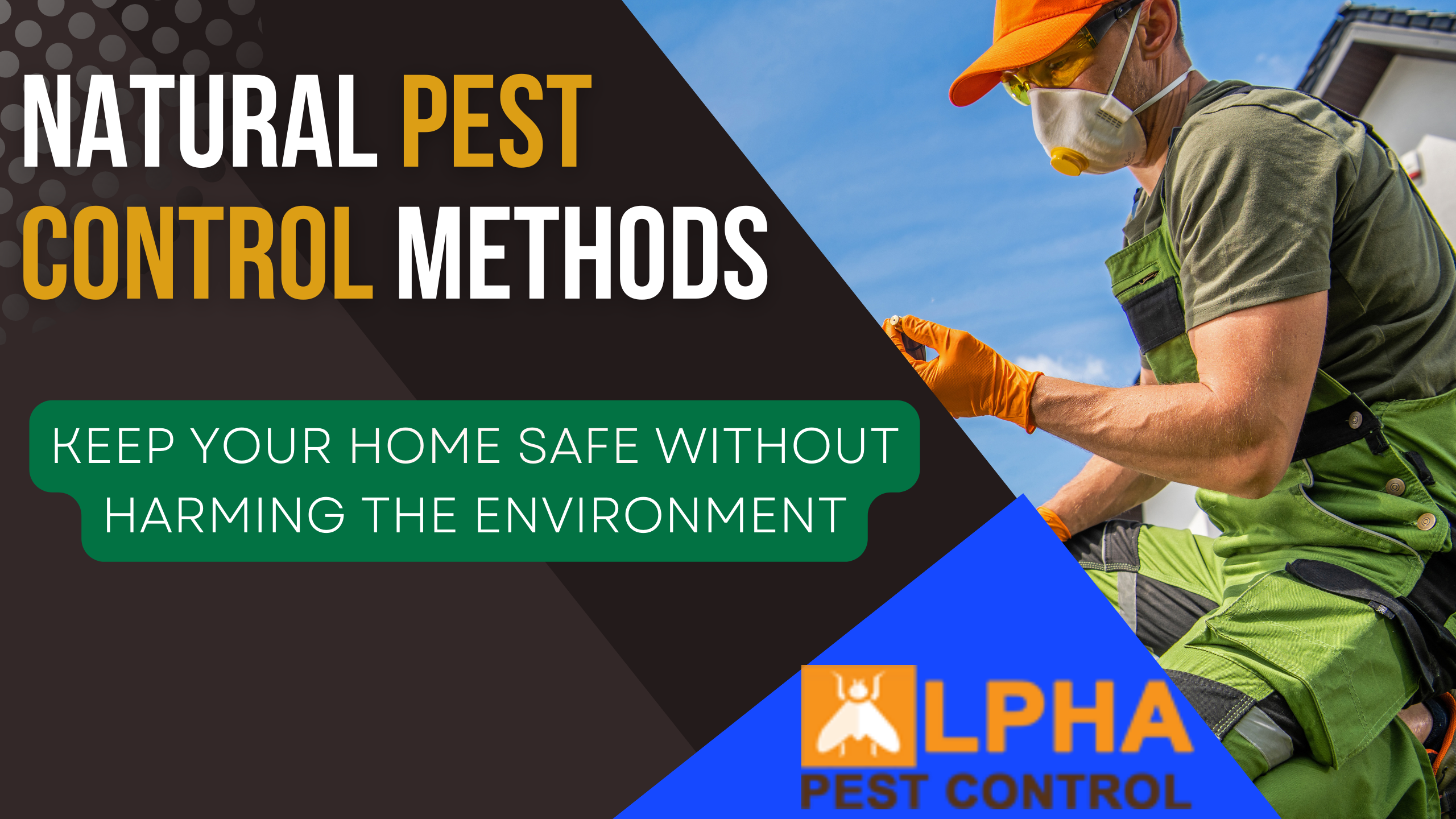 Natural Pest Control Methods: Keep Your Home Safe Without Harming the Environment