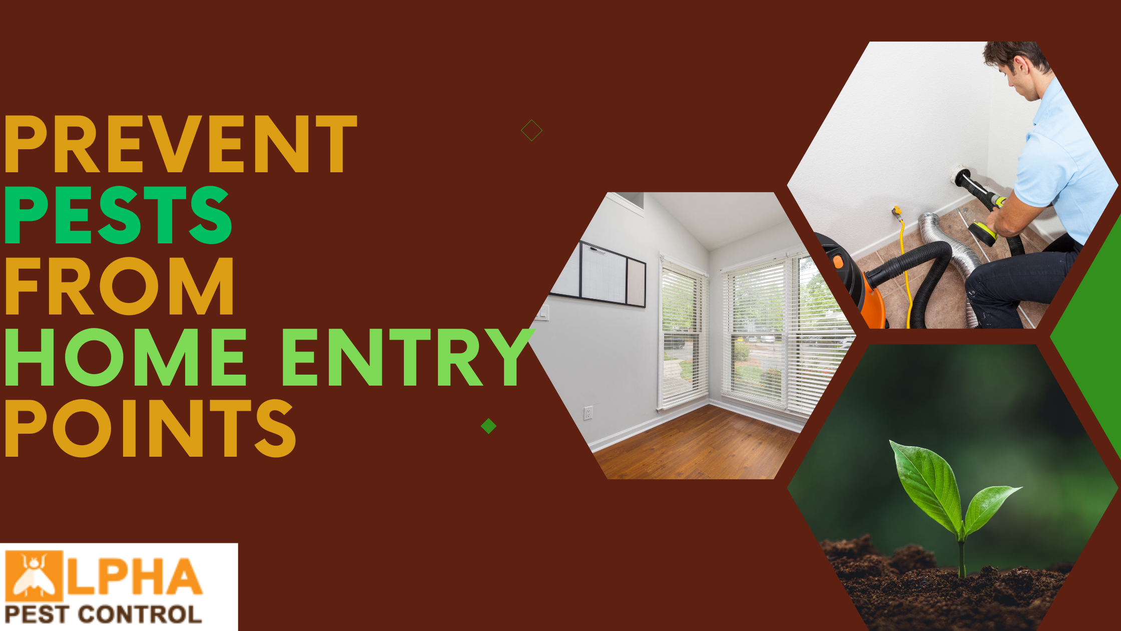 Prevent Pests from Home Entry Points