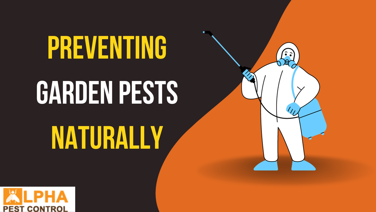 Preventing Garden Pests Naturally