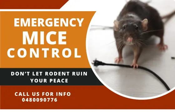 Emergency Mice Control