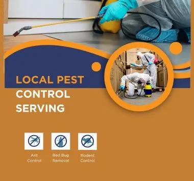 Local Pest Control service